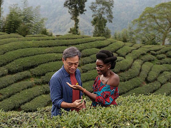 layout image (to proper size of the container)