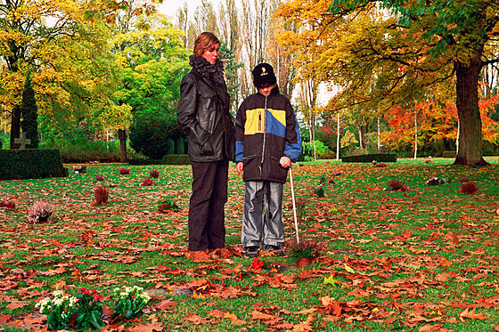 layout image (to proper size of the container)