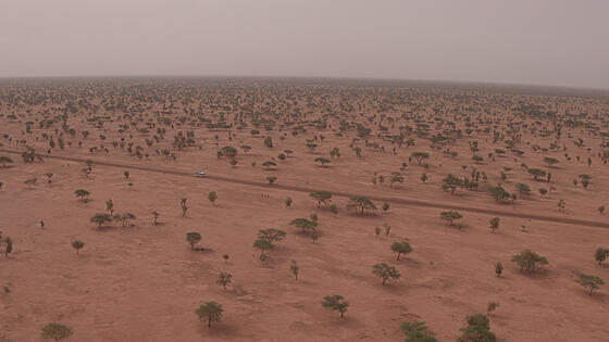 forhåndsvisning af film