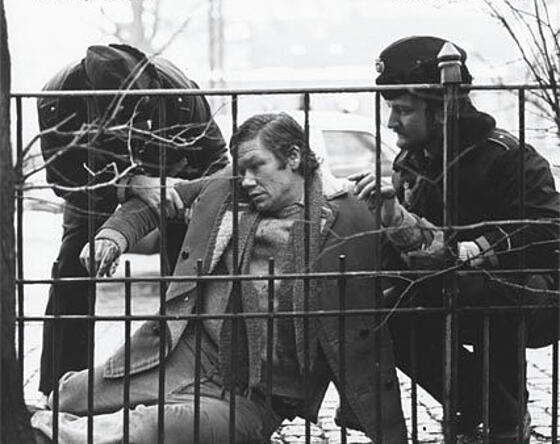 layout image (to proper size of the container)