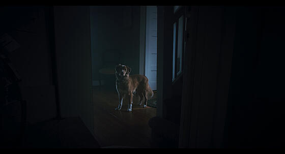 forhåndsvisning af film