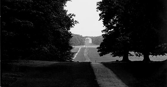 forhåndsvisning af film