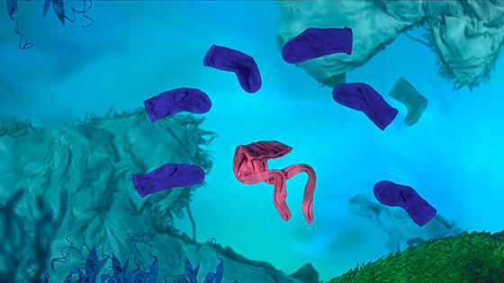 layout image (to proper size of the container)