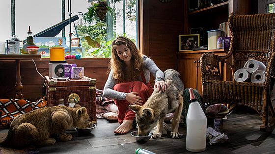 layout image (to proper size of the container)