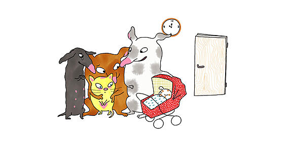 forhåndsvisning af film