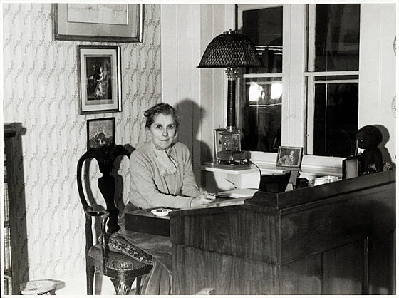 forhåndsvisning af film