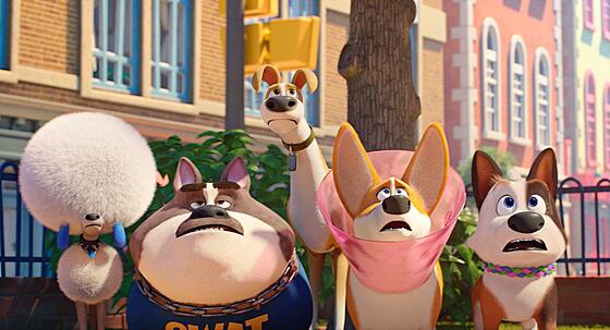 layout image (to proper size of the container)