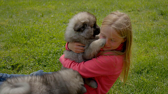 layout image (to proper size of the container)