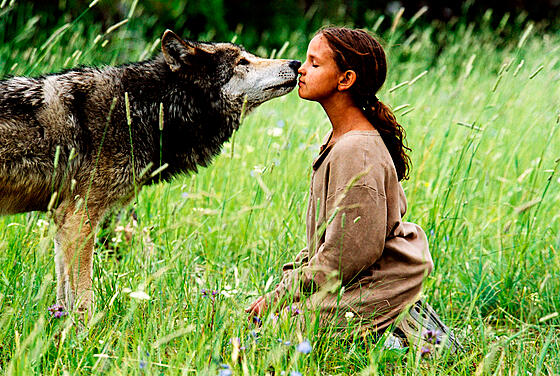 forhåndsvisning af film