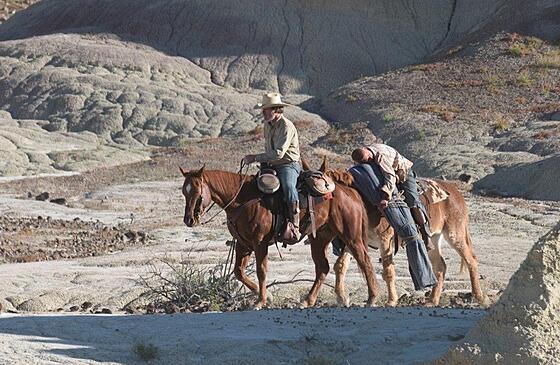 layout image (to proper size of the container)