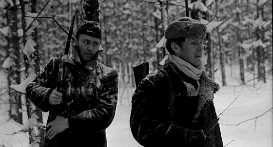 layout image (to proper size of the container)