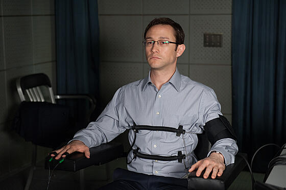 layout image (to proper size of the container)