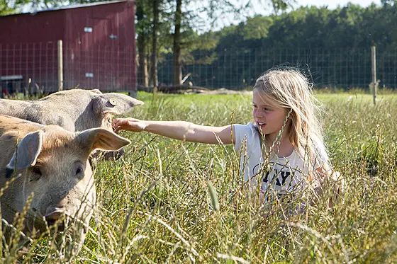 layout image (to proper size of the container)