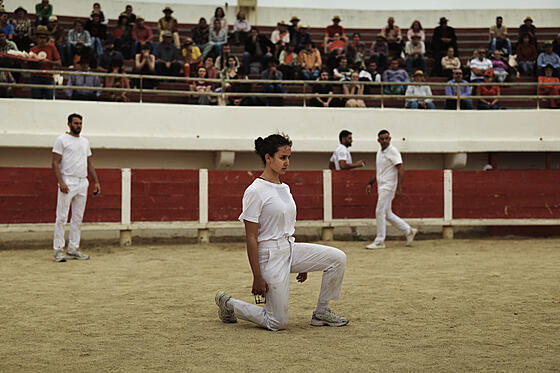 forhåndsvisning af film
