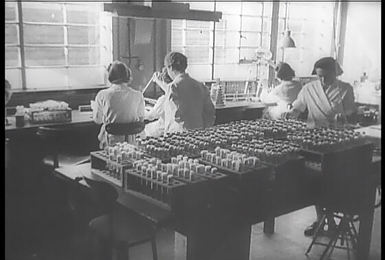 forhåndsvisning af film