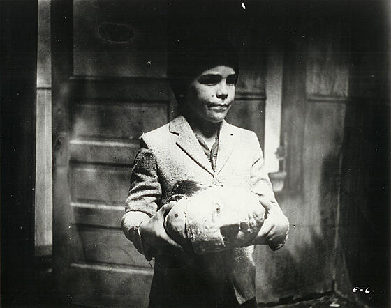 forhåndsvisning af film