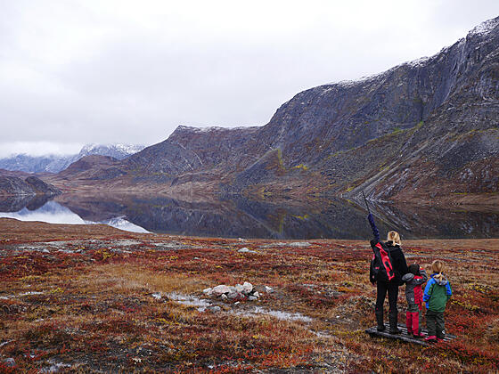 forhåndsvisning af film