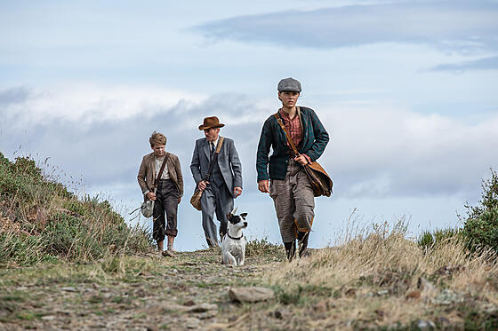 forhåndsvisning af film