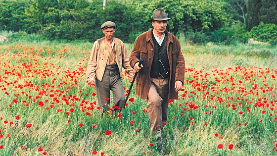 forhåndsvisning af film