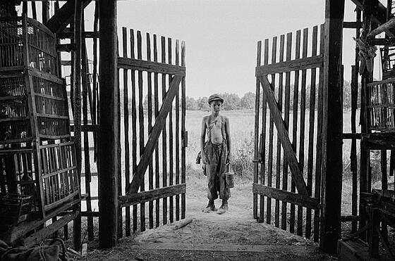 forhåndsvisning af film