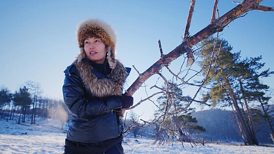 layout image (to proper size of the container)