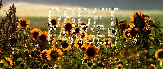 layout image (to proper size of the container)