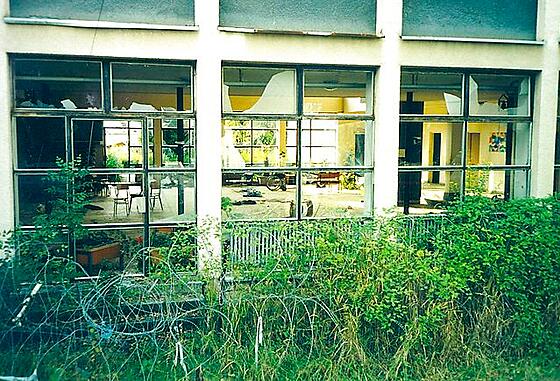 layout image (to proper size of the container)