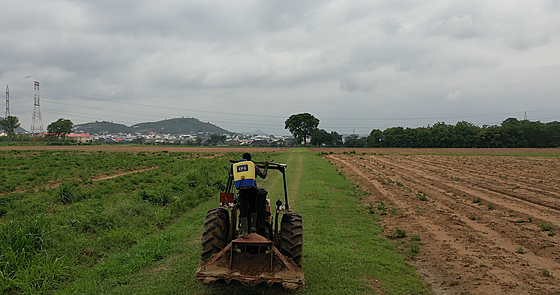 layout image (to proper size of the container)