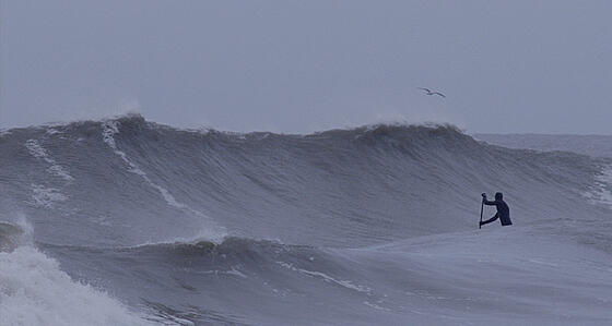 forhåndsvisning af film
