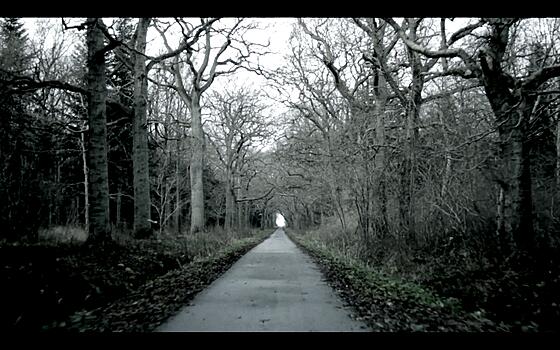 forhåndsvisning af film