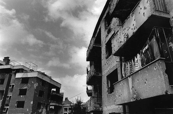 forhåndsvisning af film