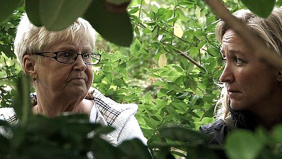 layout image (to proper size of the container)