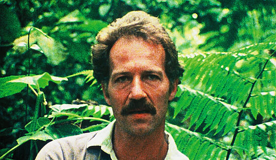 forhåndsvisning af film