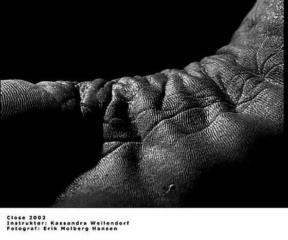 layout image (to proper size of the container)