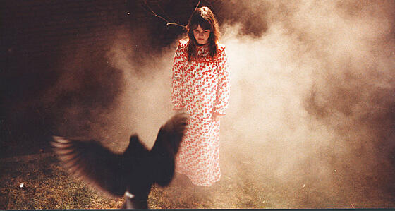 layout image (to proper size of the container)