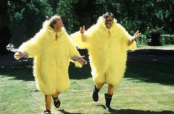 forhåndsvisning af film