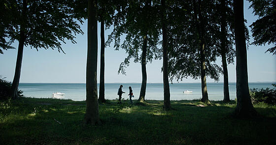 layout image (to proper size of the container)