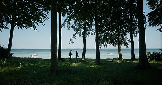 layout image (to proper size of the container)