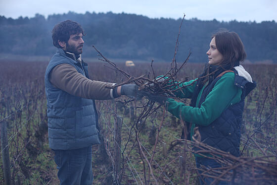 layout image (to proper size of the container)