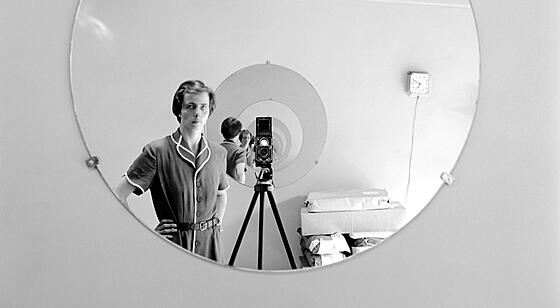 layout image (to proper size of the container)