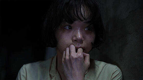 layout image (to proper size of the container)