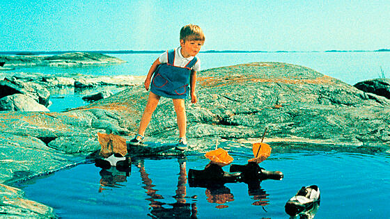 layout image (to proper size of the container)