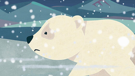 forhåndsvisning af film