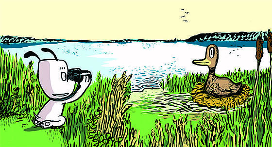 layout image (to proper size of the container)