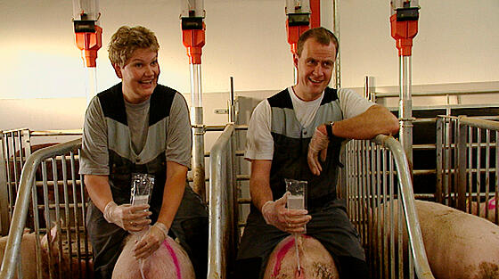 layout image (to proper size of the container)