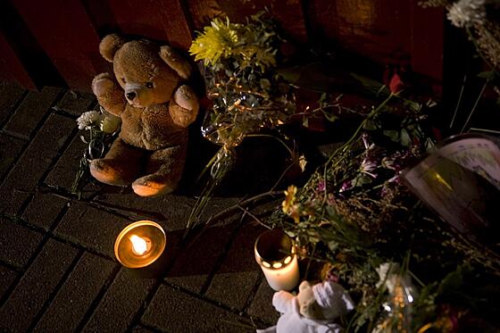 layout image (to proper size of the container)