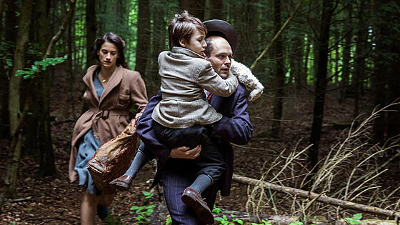 layout image (to proper size of the container)