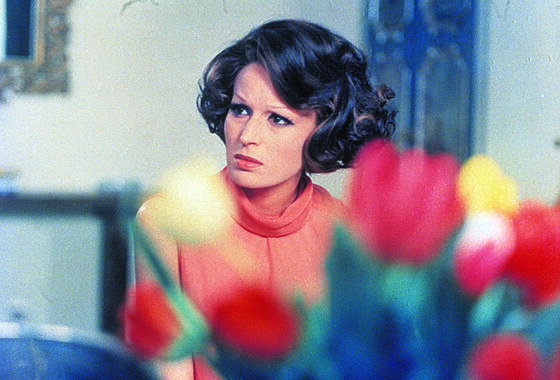 layout image (to proper size of the container)