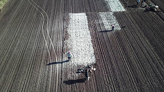 forhåndsvisning af film