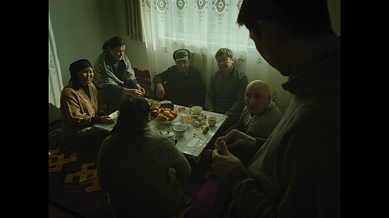 forhåndsvisning af film